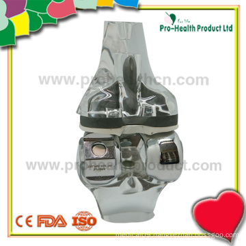 pH03-047 Knee model